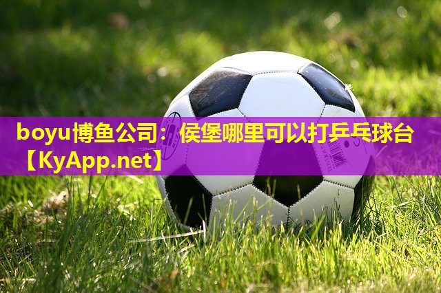 boyu博鱼公司：侯堡哪里可以打乒乓球台