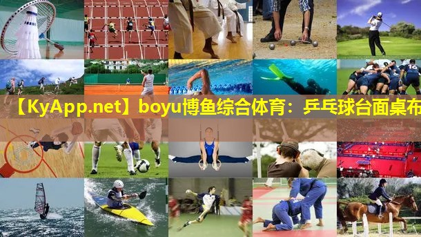 boyu博鱼综合体育：乒乓球台面桌布