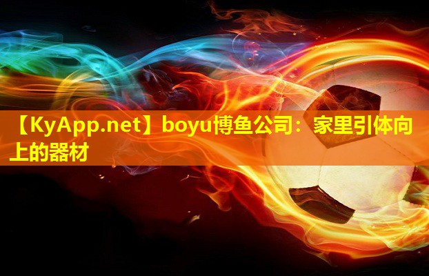 boyu博鱼公司：家里引体向上的器材