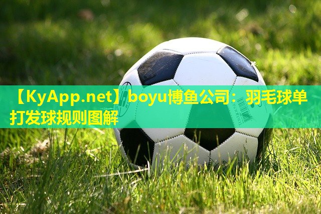 boyu博鱼公司：羽毛球单打发球规则图解