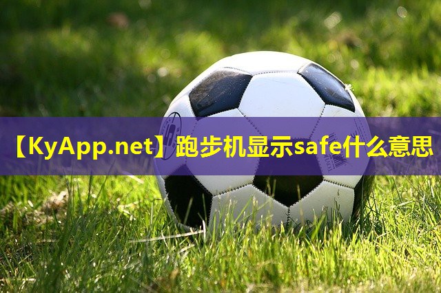 跑步机显示safe什么意思