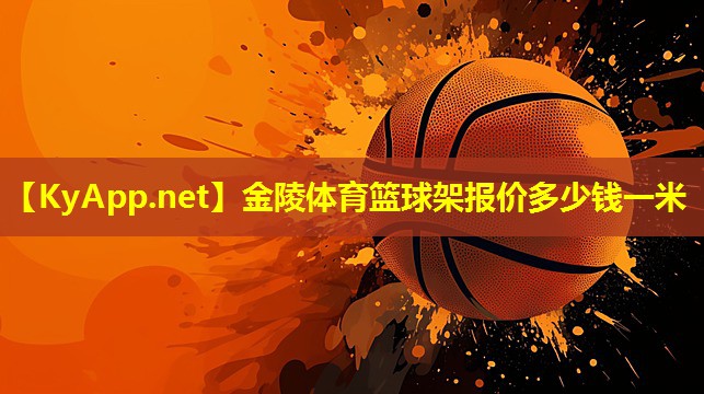 金陵体育篮球架报价多少钱一米